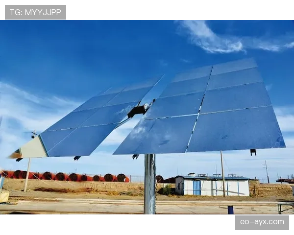 非洲足球投资热潮涌动，机遇与挑战并存引关注