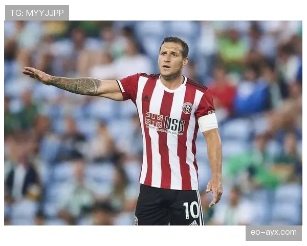 谢菲联主场强势反弹，状态回暖点燃球迷新赛季期待